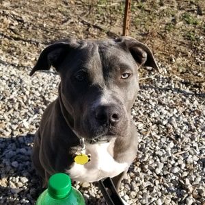 Meet your Posher, Quincie